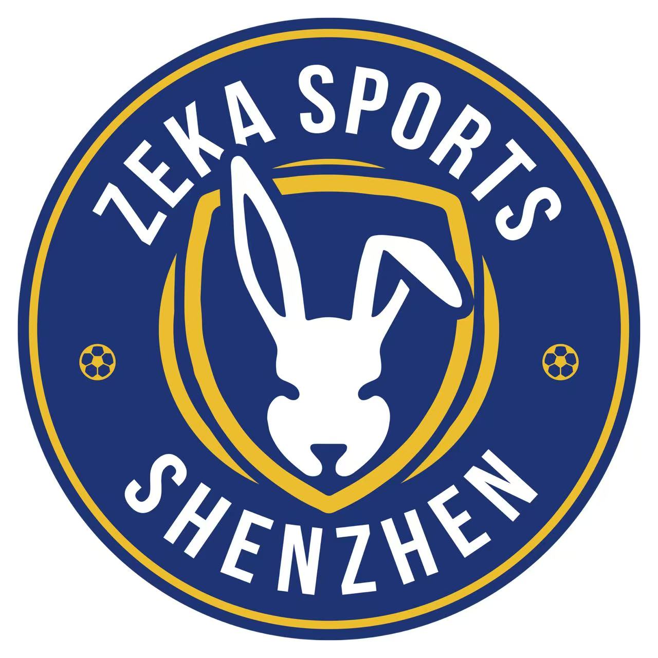Zeka Sports Logo