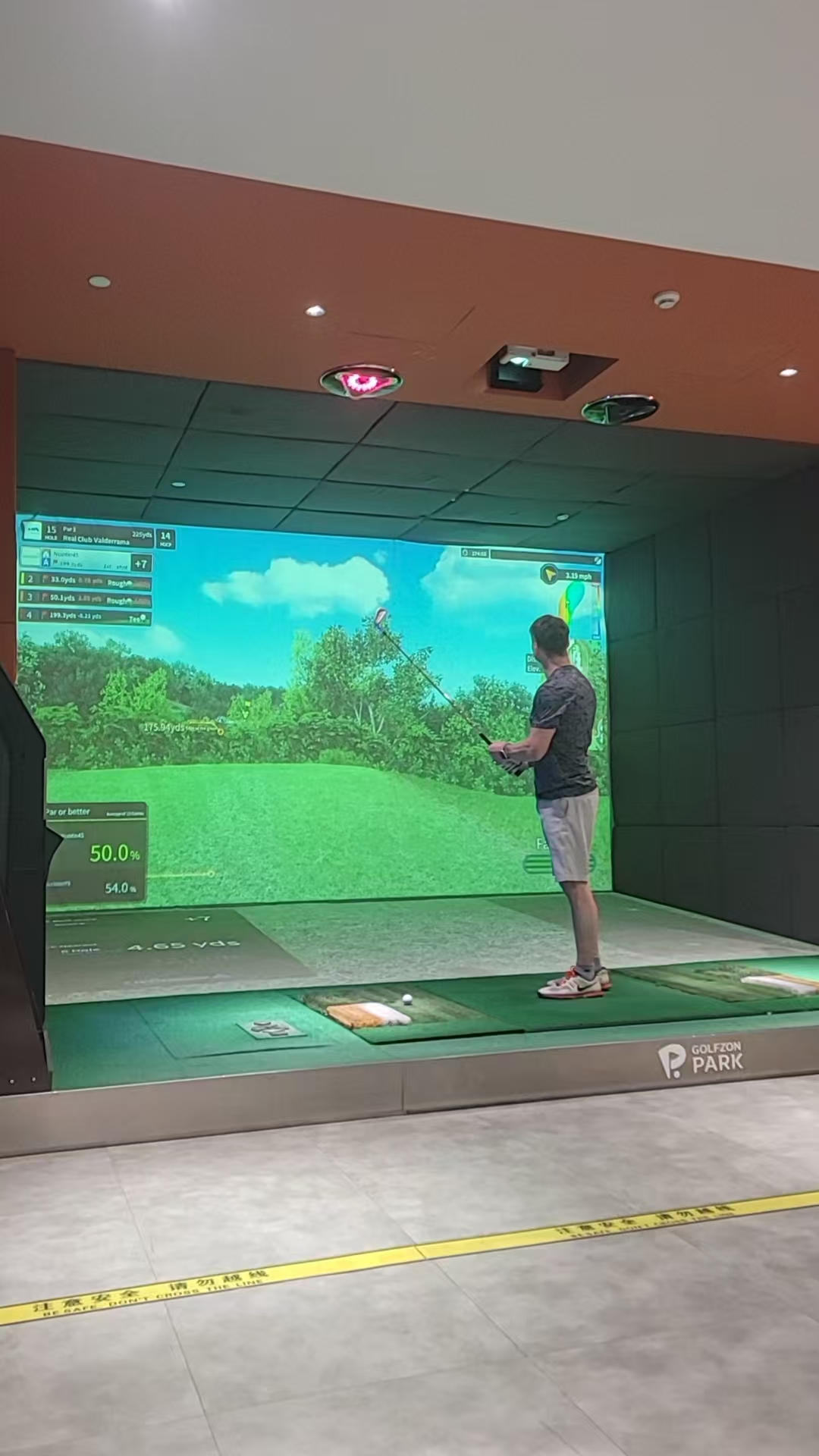 Screen Golf